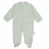 Pijama de pimera puesta en manga larga de punto DREAM estrellas color menta